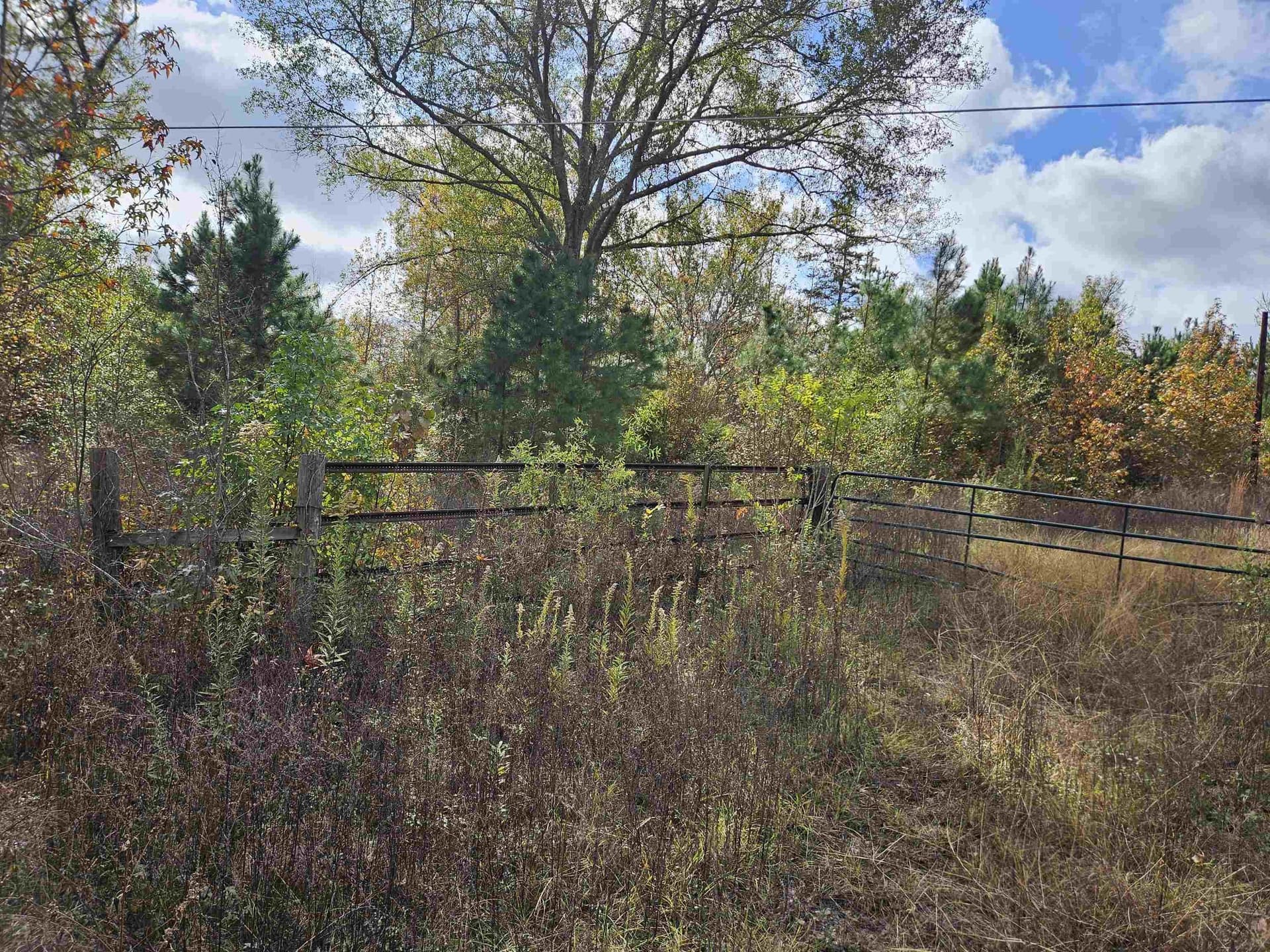 27.79 acres in Smith County featured view