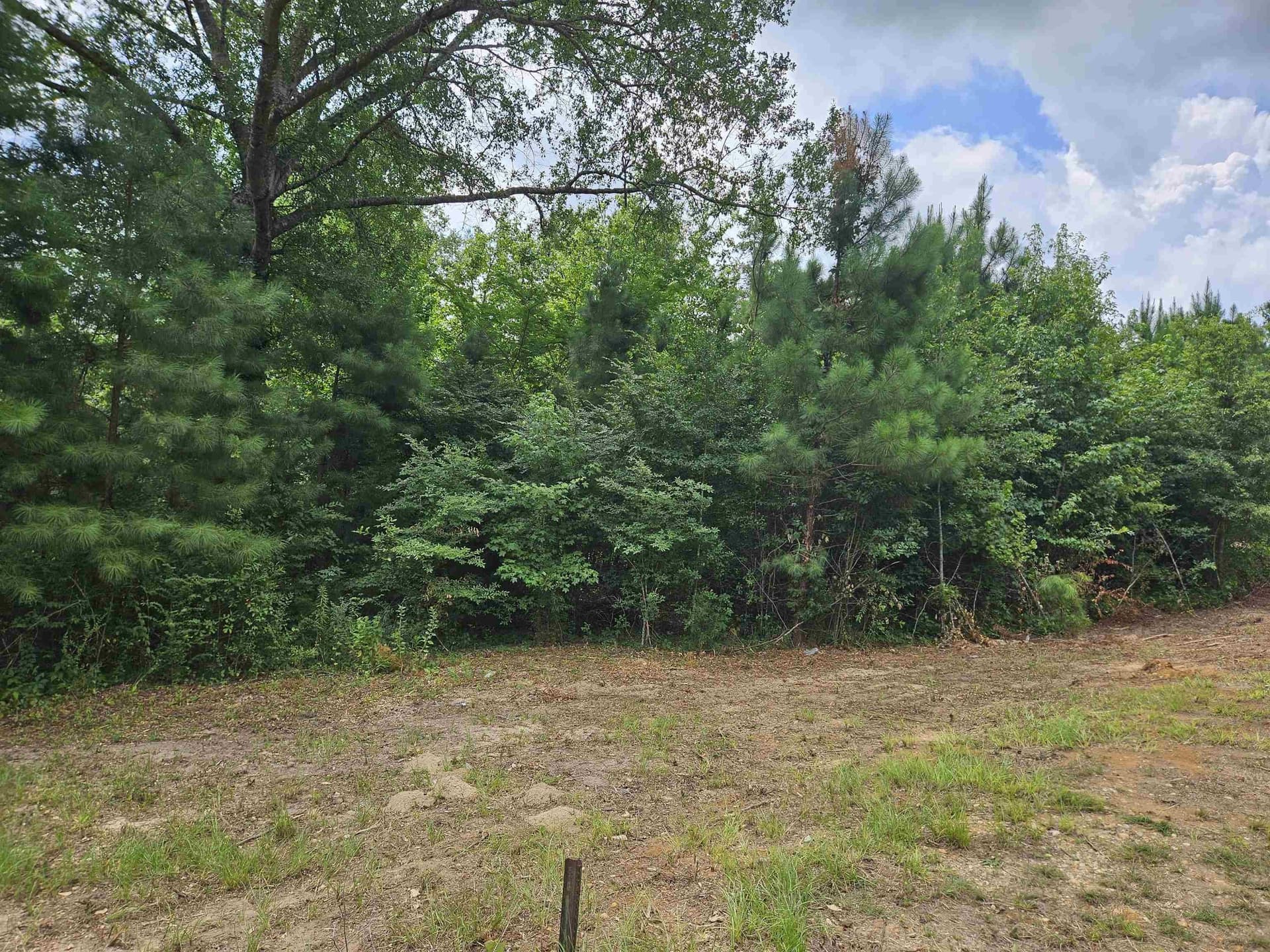 27.79 acres in Smith County - photo 10