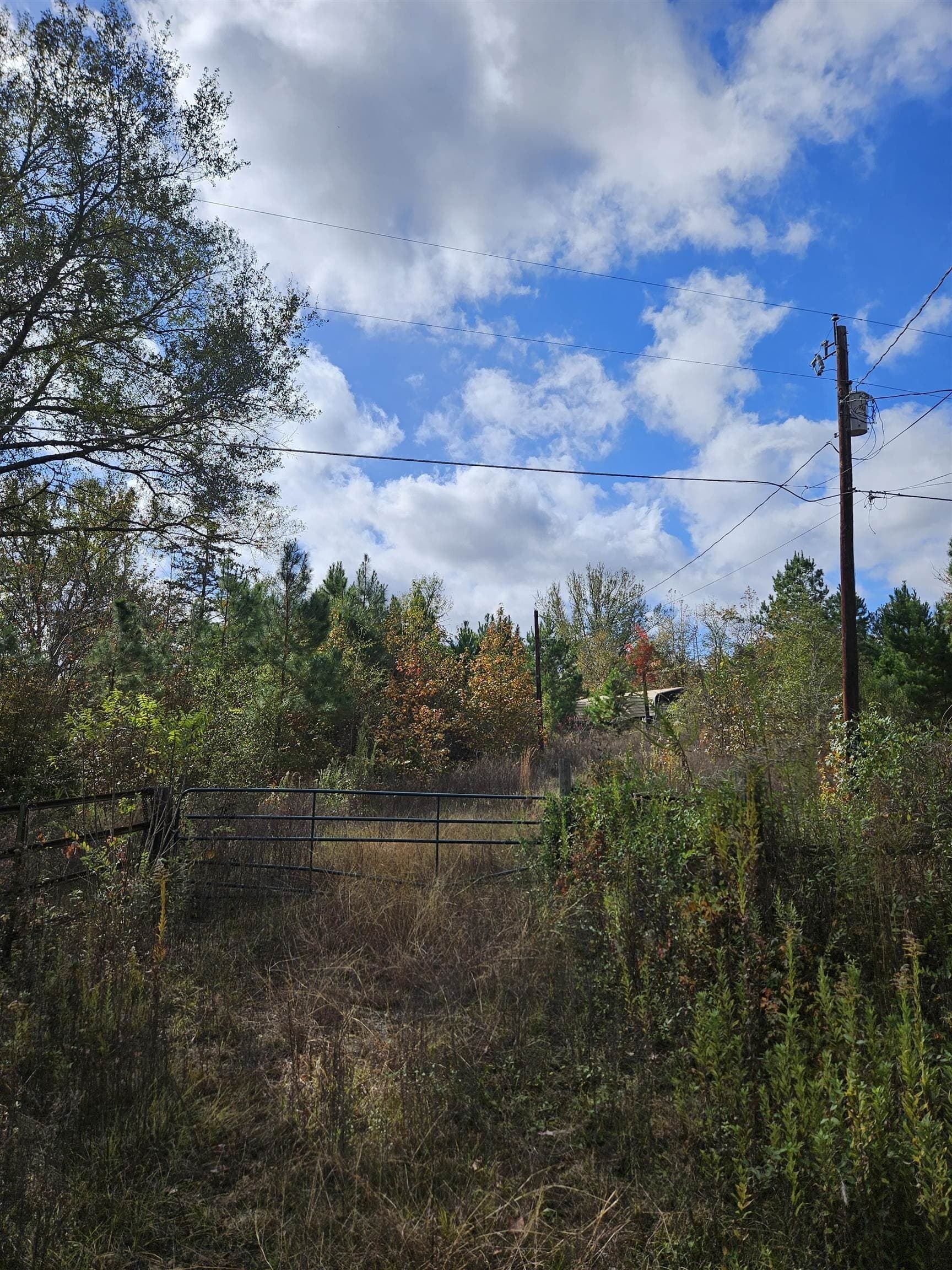 27.79 acres in Smith County gallery image 2