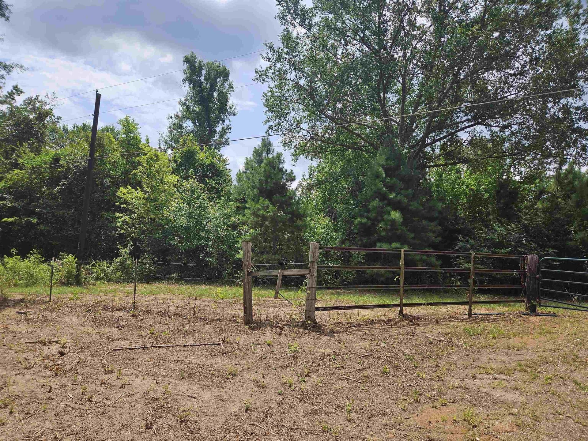 27.79 acres in Smith County - photo 8