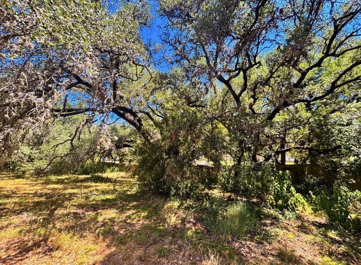 0.53 acres in Llano County - photo 4