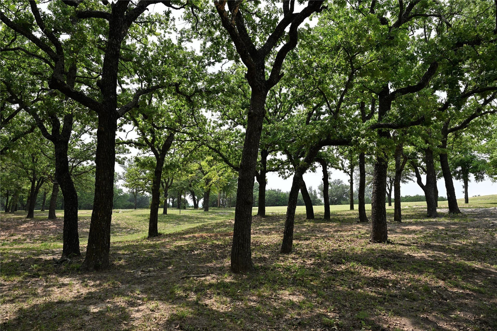 111.3 acres in Parker County - photo 38