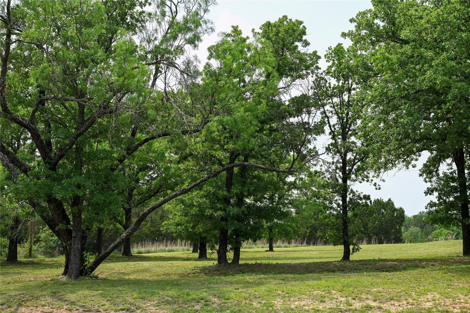 111.3 acres in Parker County - photo 36
