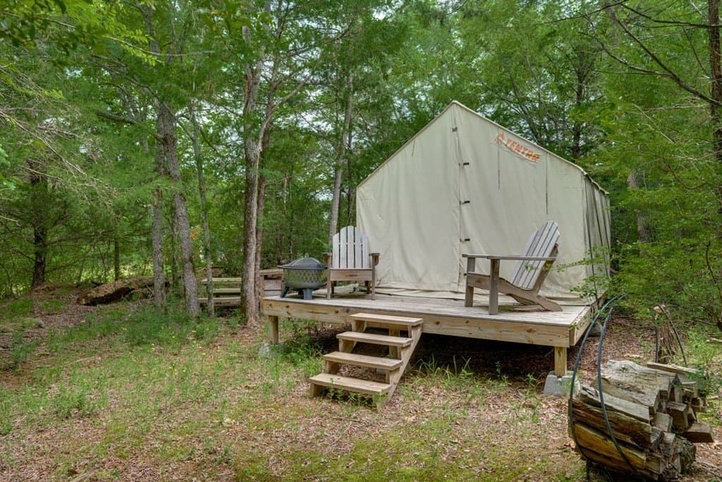 38 acres in ANDERSON County - photo 49