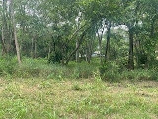 0.41 acres in Henderson County featured view