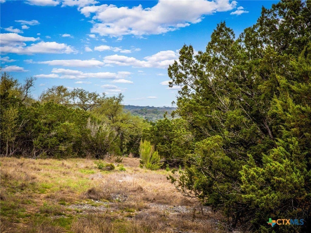 1.31 acres in Comal County - photo 12