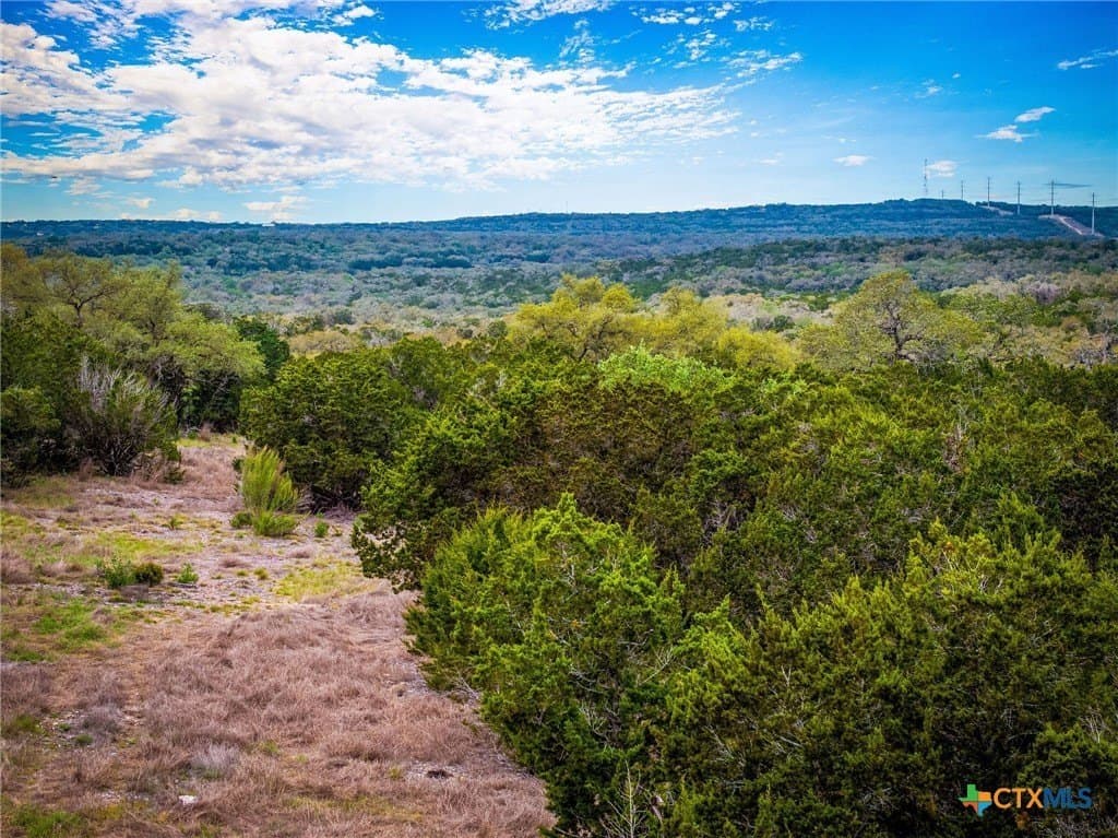 1.31 acres in Comal County - photo 7