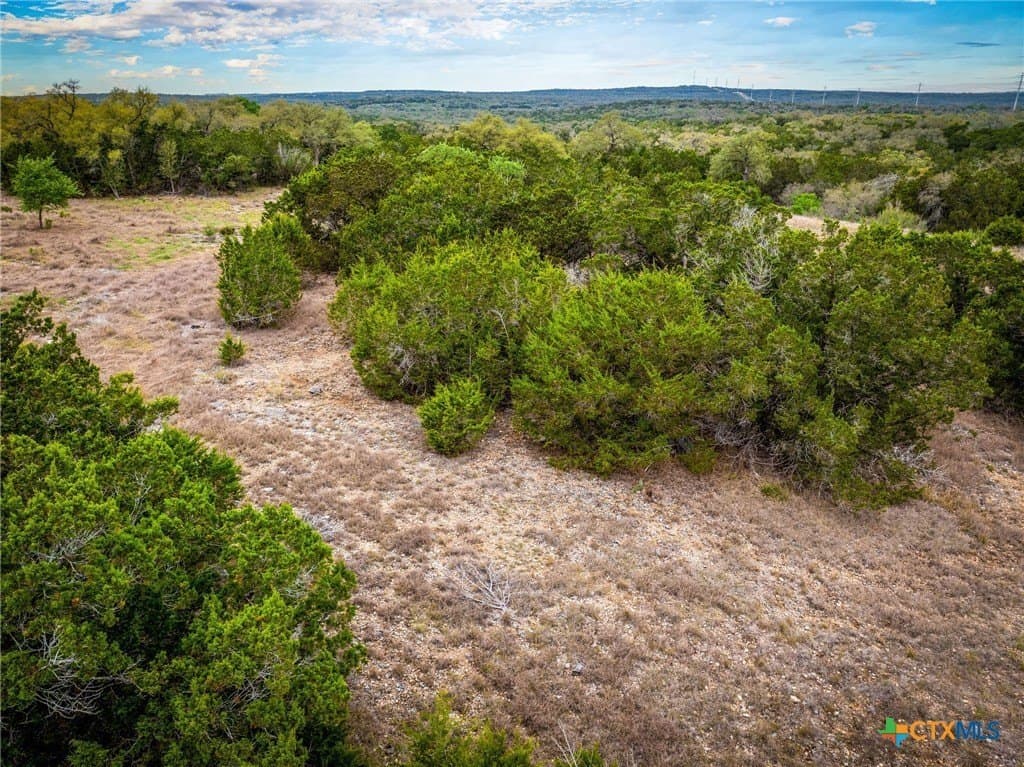 1.31 acres in Comal County - photo 8
