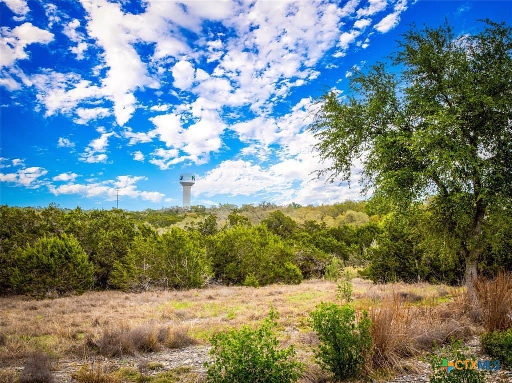 1.31 acres in Comal County - photo 16