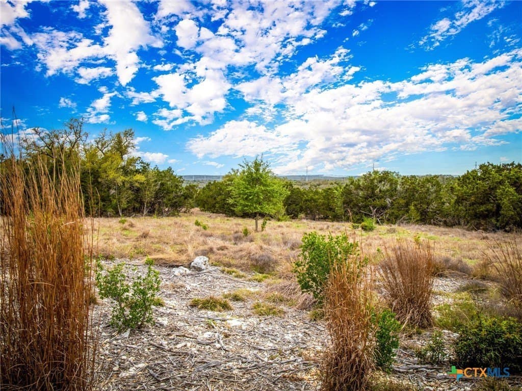 1.31 acres in Comal County - photo 15