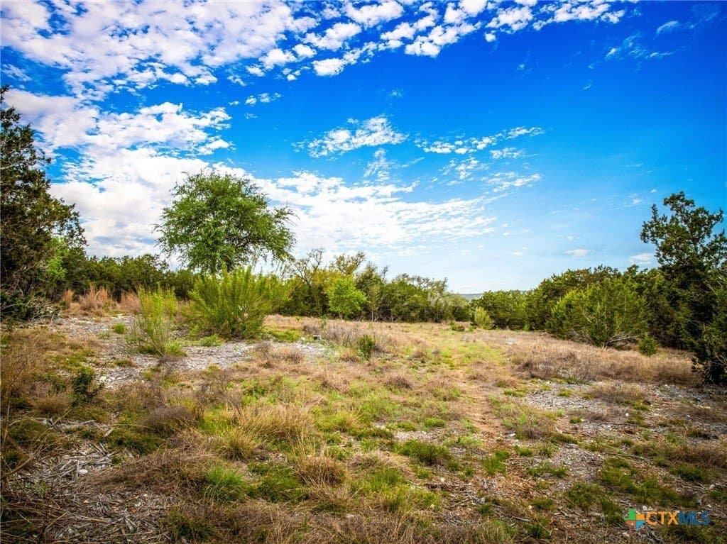 1.31 acres in Comal County - photo 13