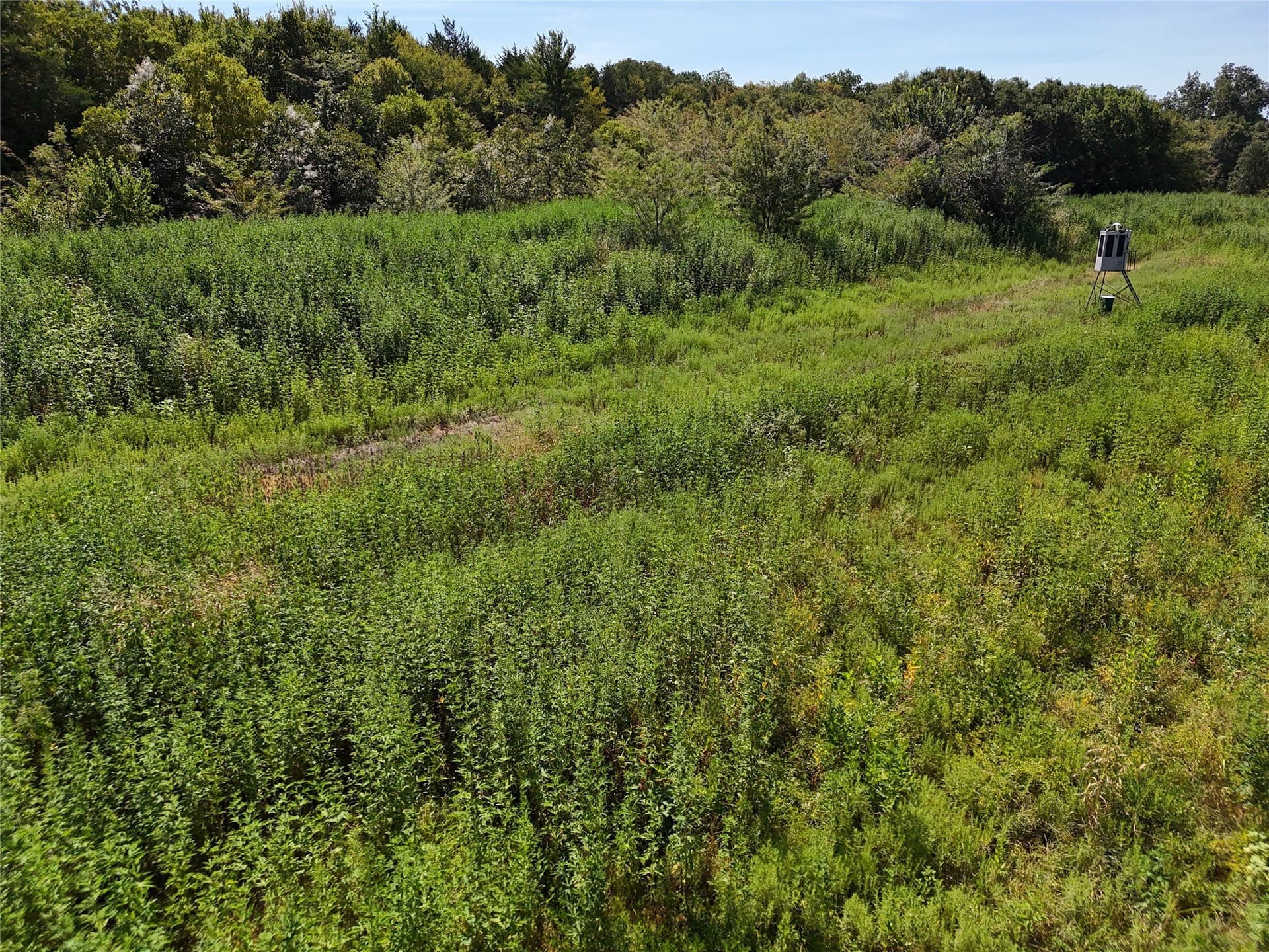 17 acres in Fannin County - photo 2