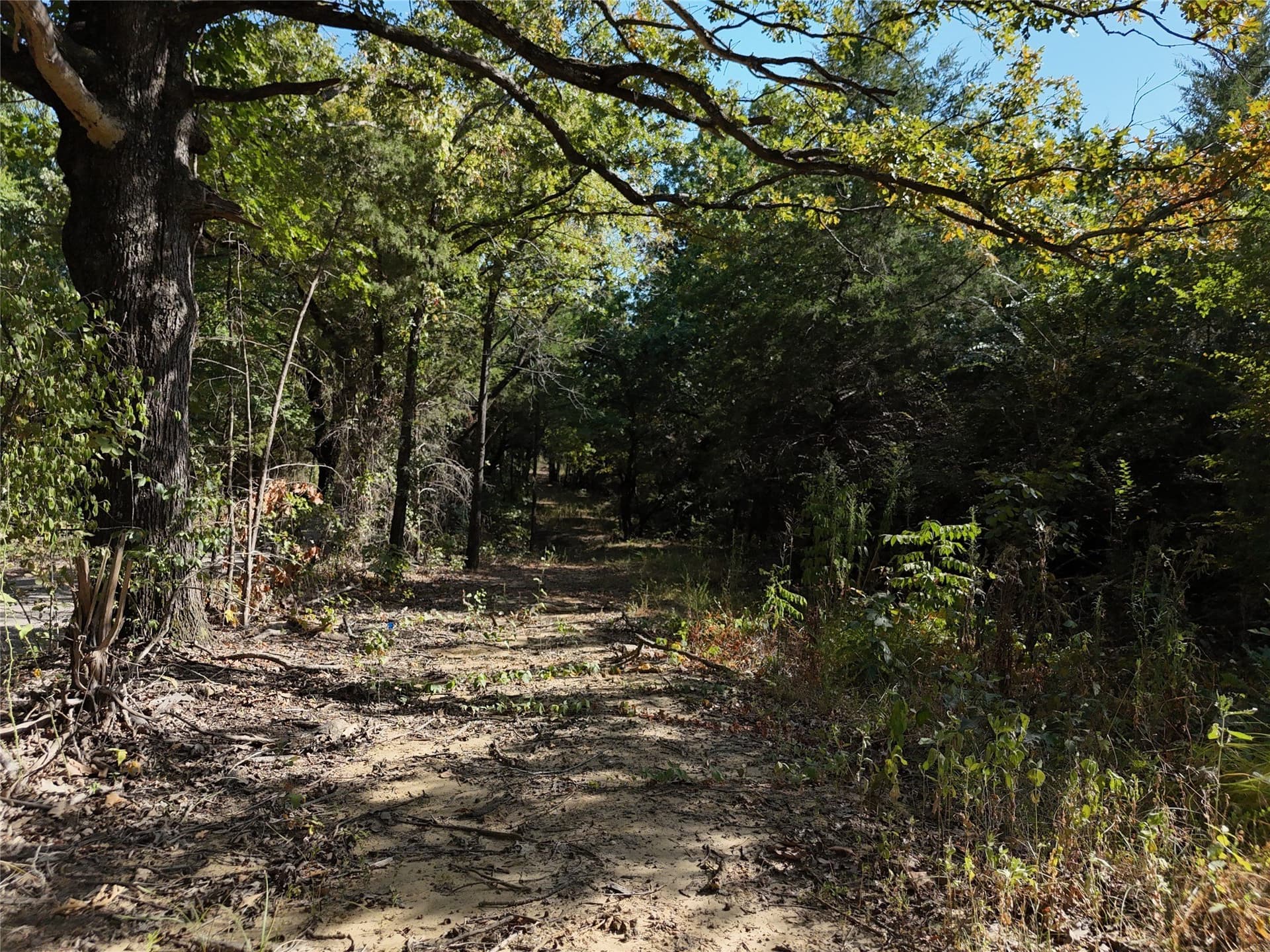 17 acres in Fannin County - photo 15