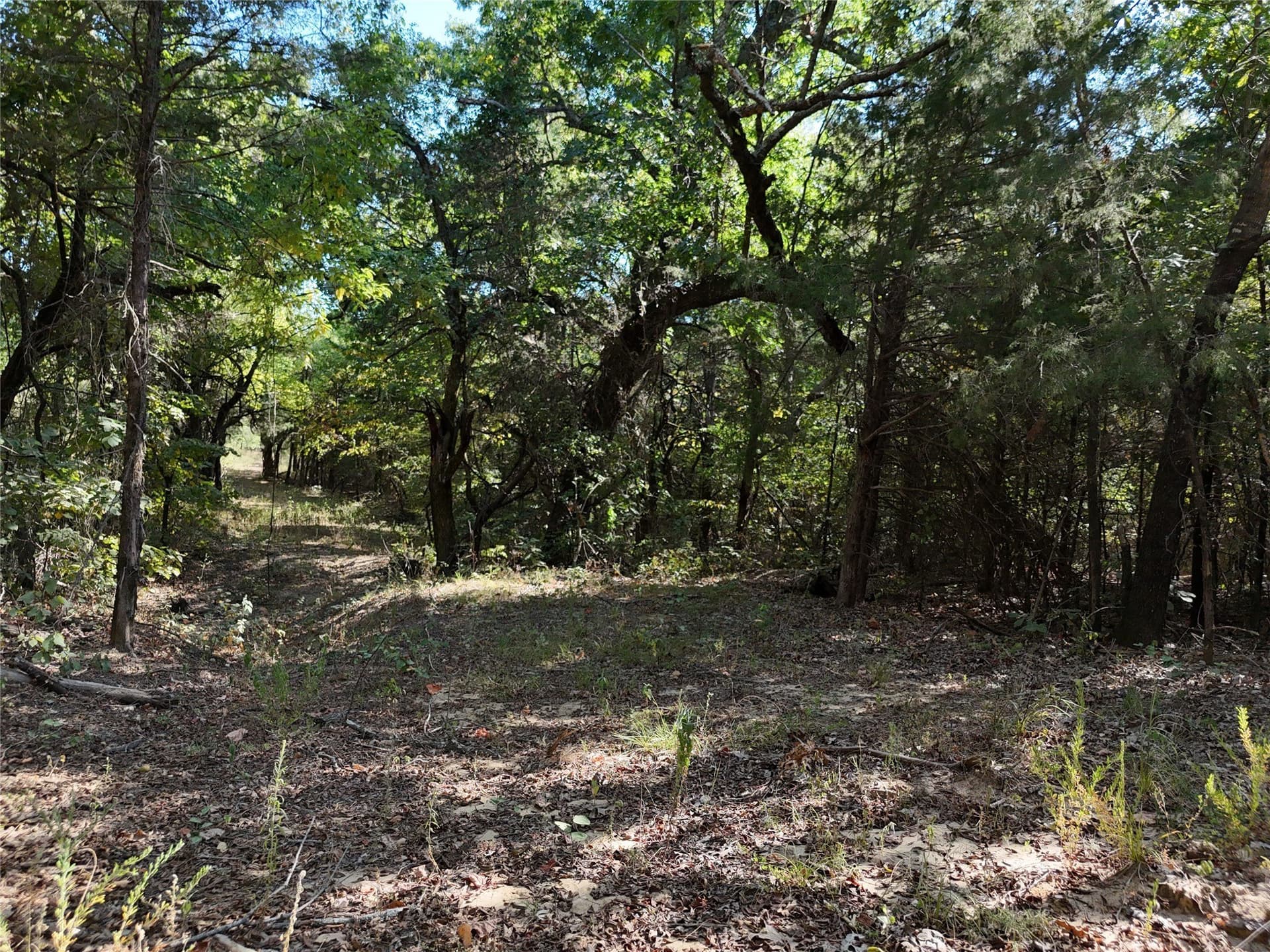 17 acres in Fannin County - photo 5