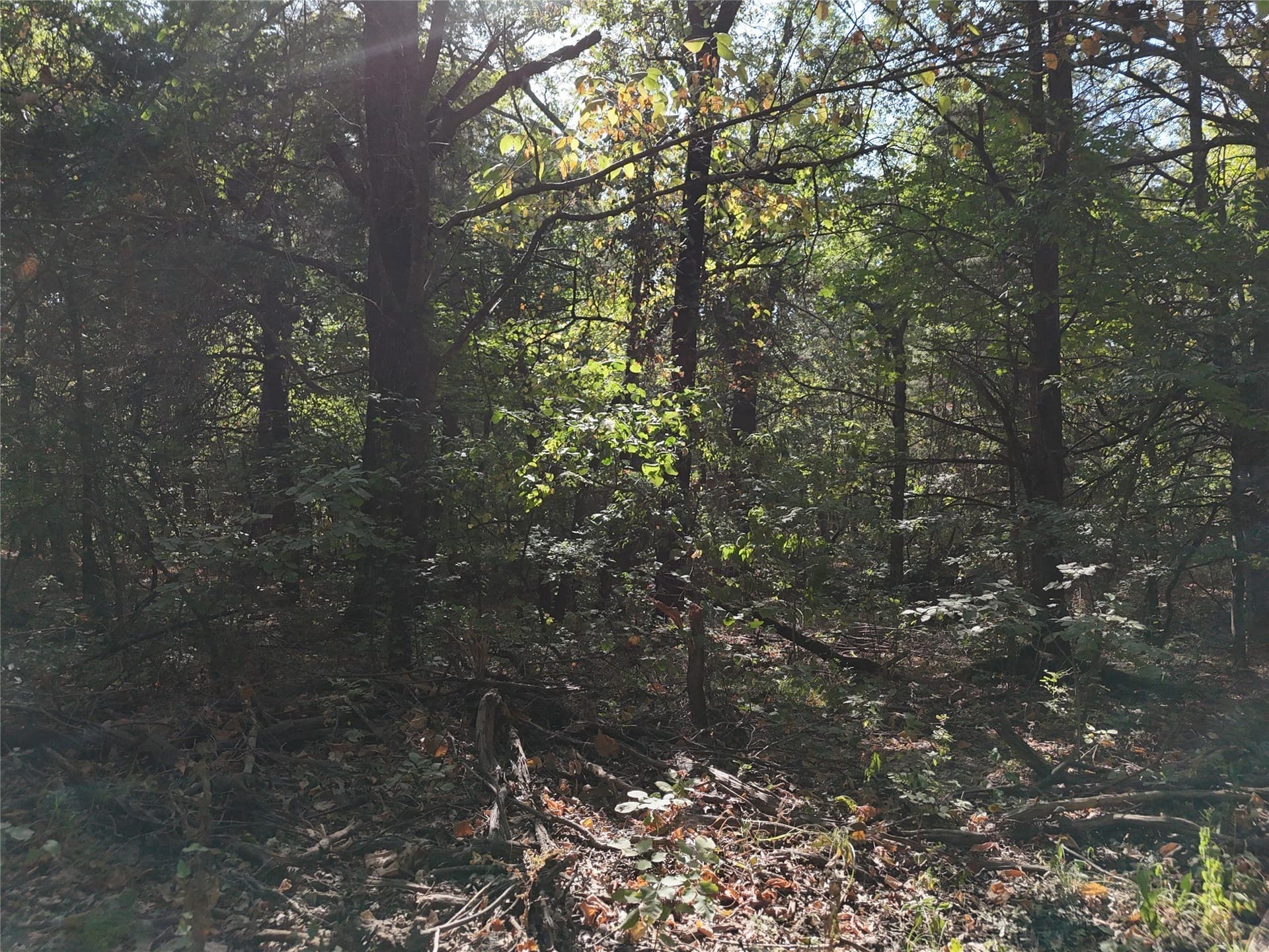 17 acres in Fannin County - photo 10
