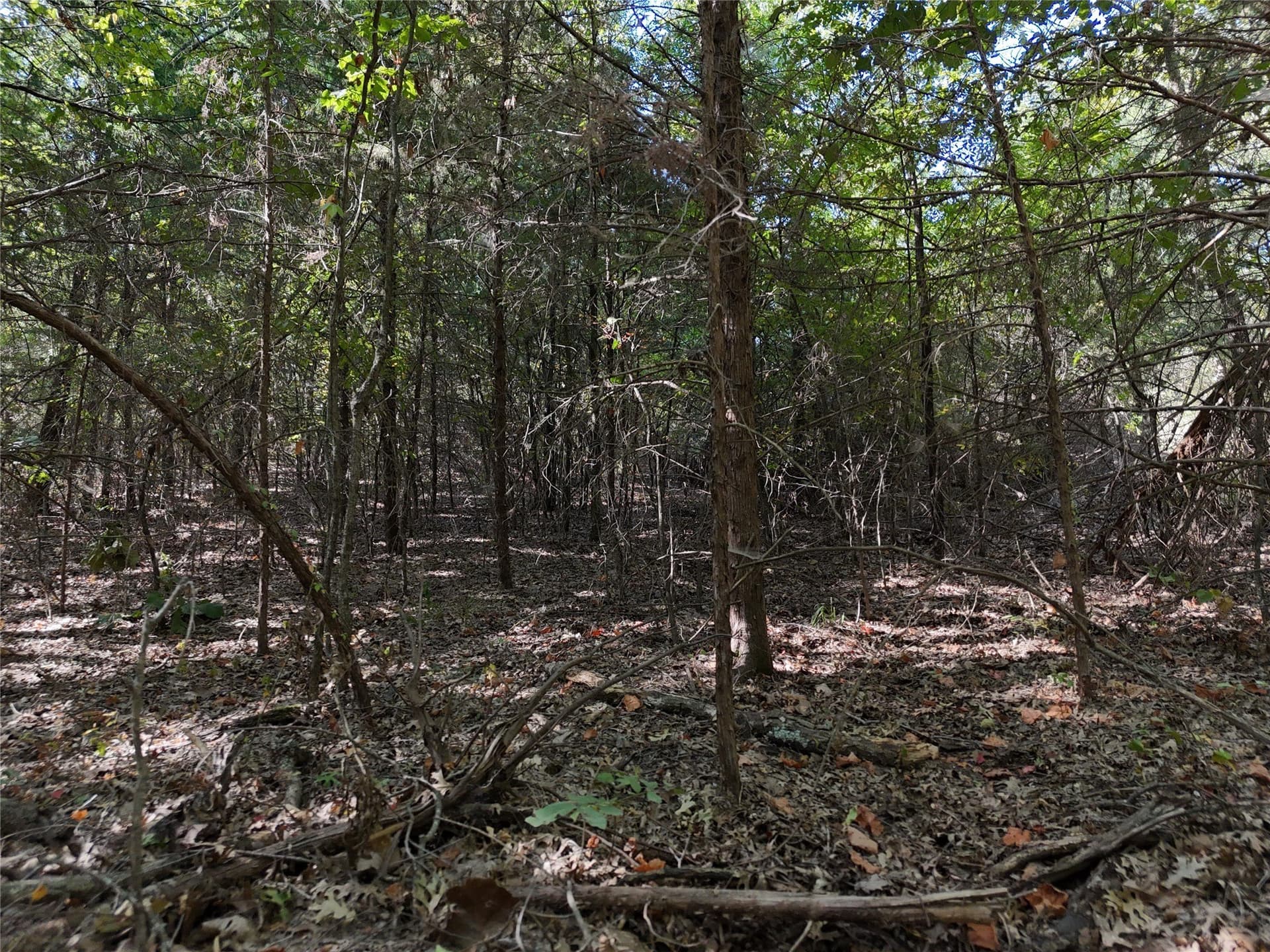 17 acres in Fannin County - photo 13