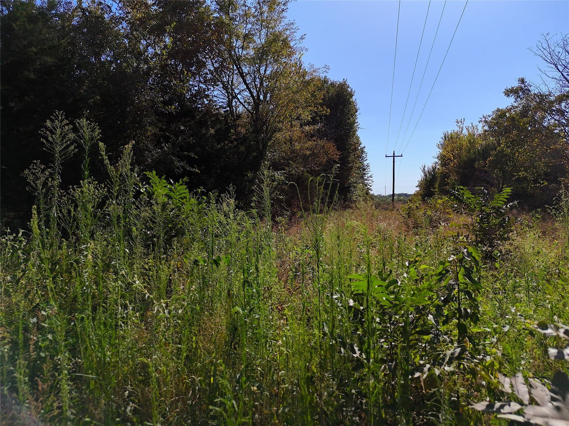 17 acres in Fannin County - photo 9