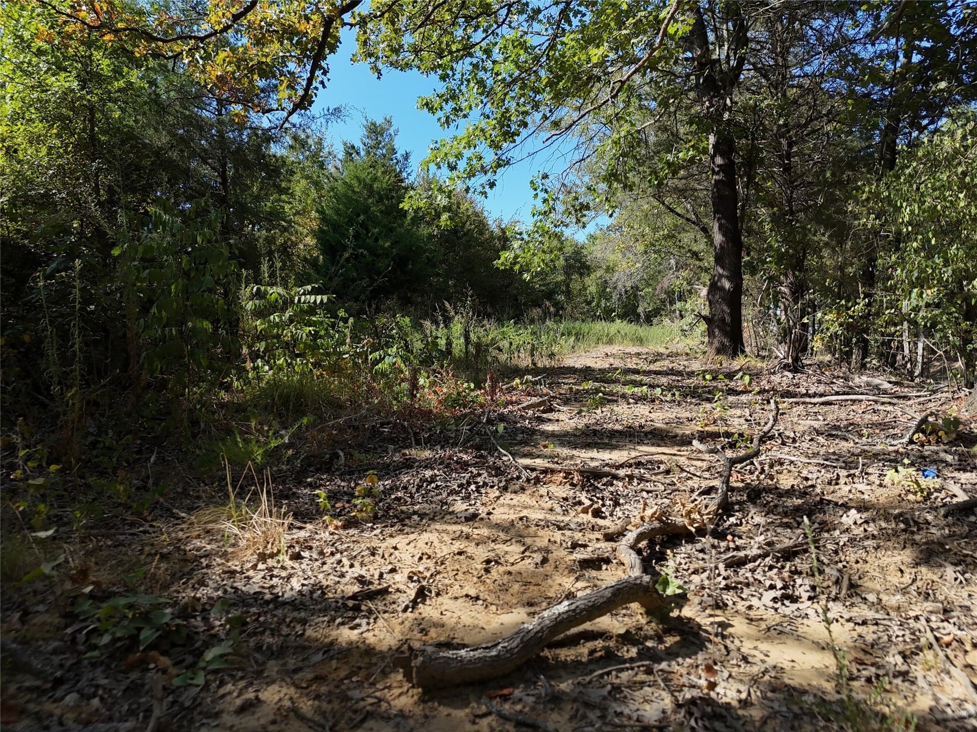 17 acres in Fannin County - photo 6