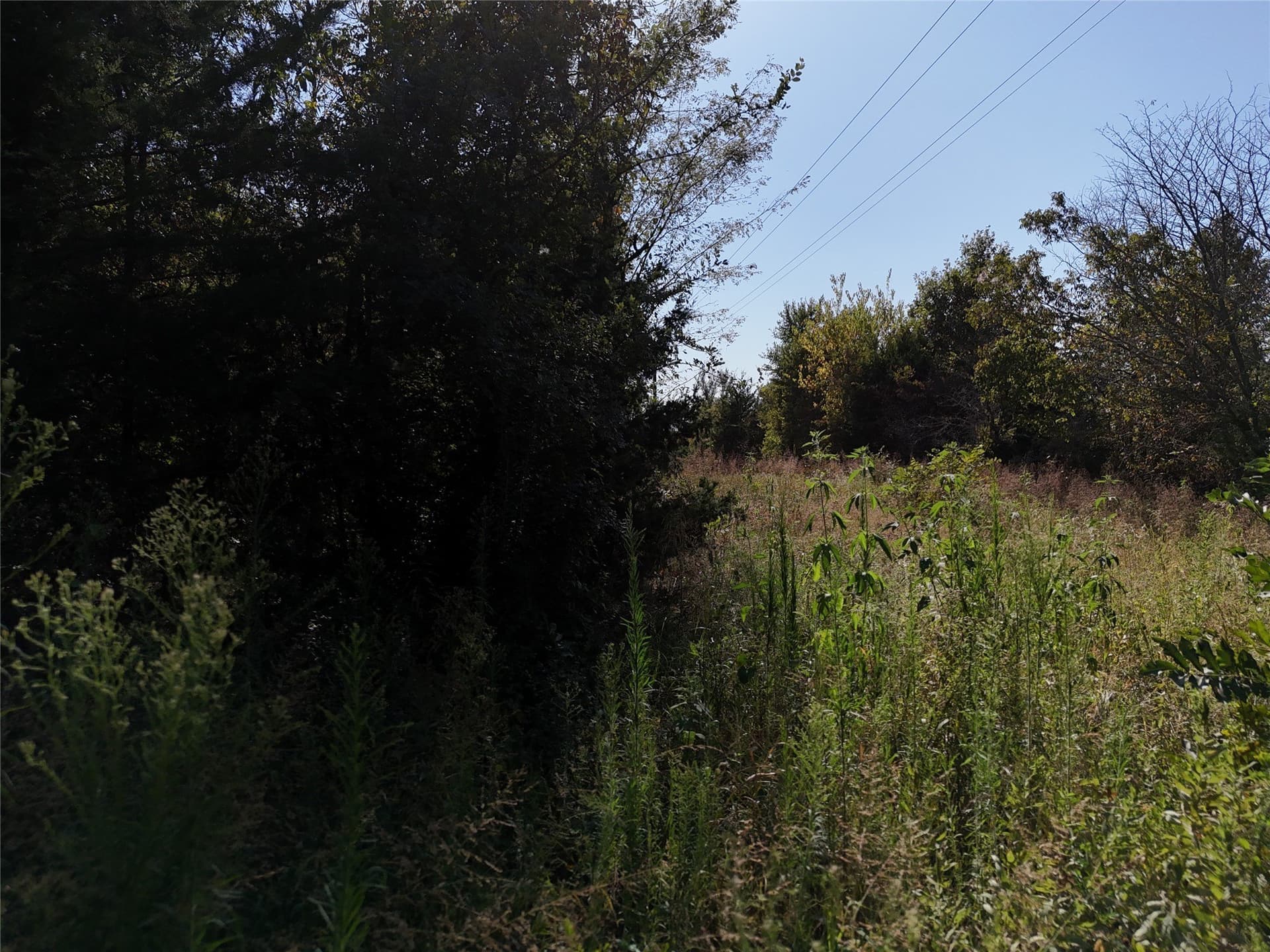 17 acres in Fannin County - photo 14