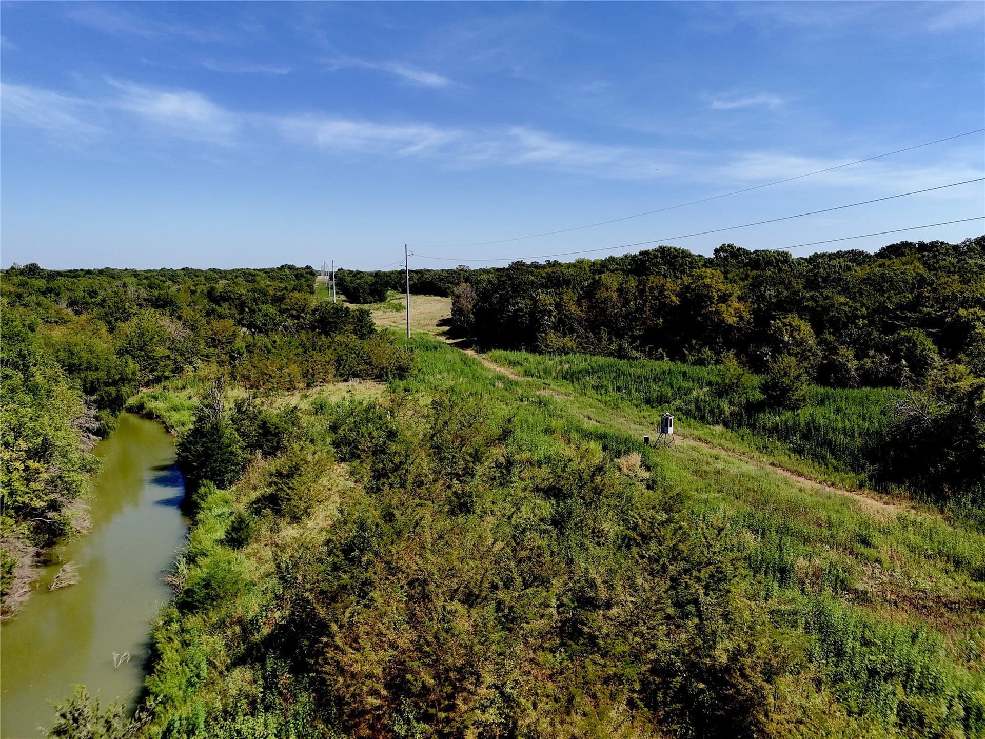 17 acres in Fannin County - photo 4