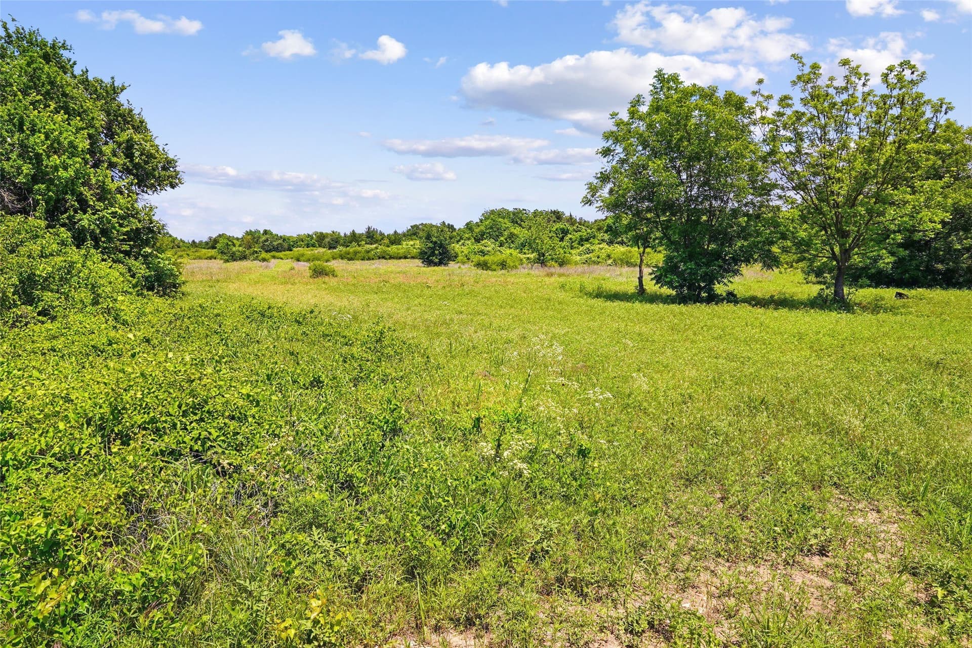 143.02 acres in Montague County - photo 29