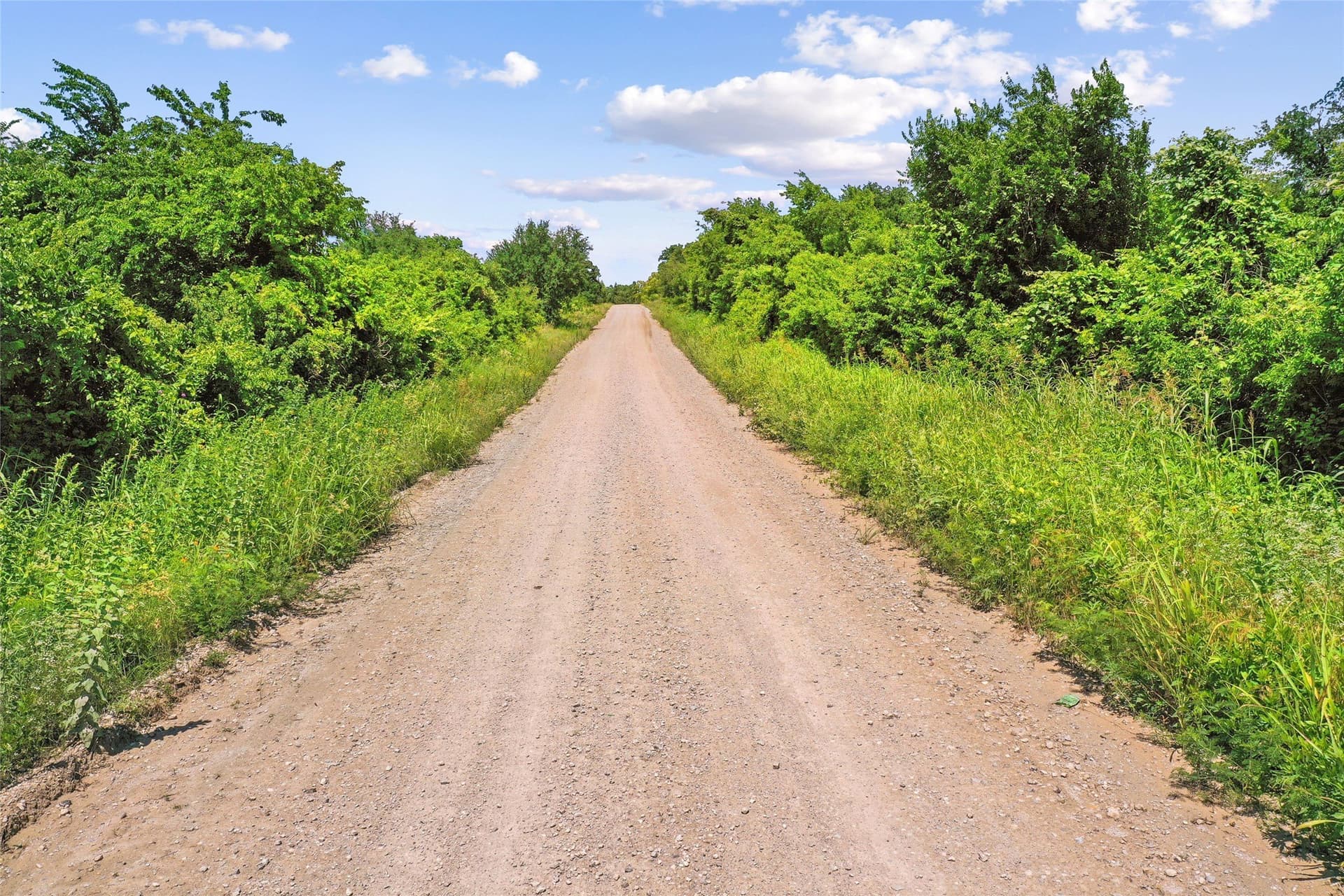 143.02 acres in Montague County - photo 6