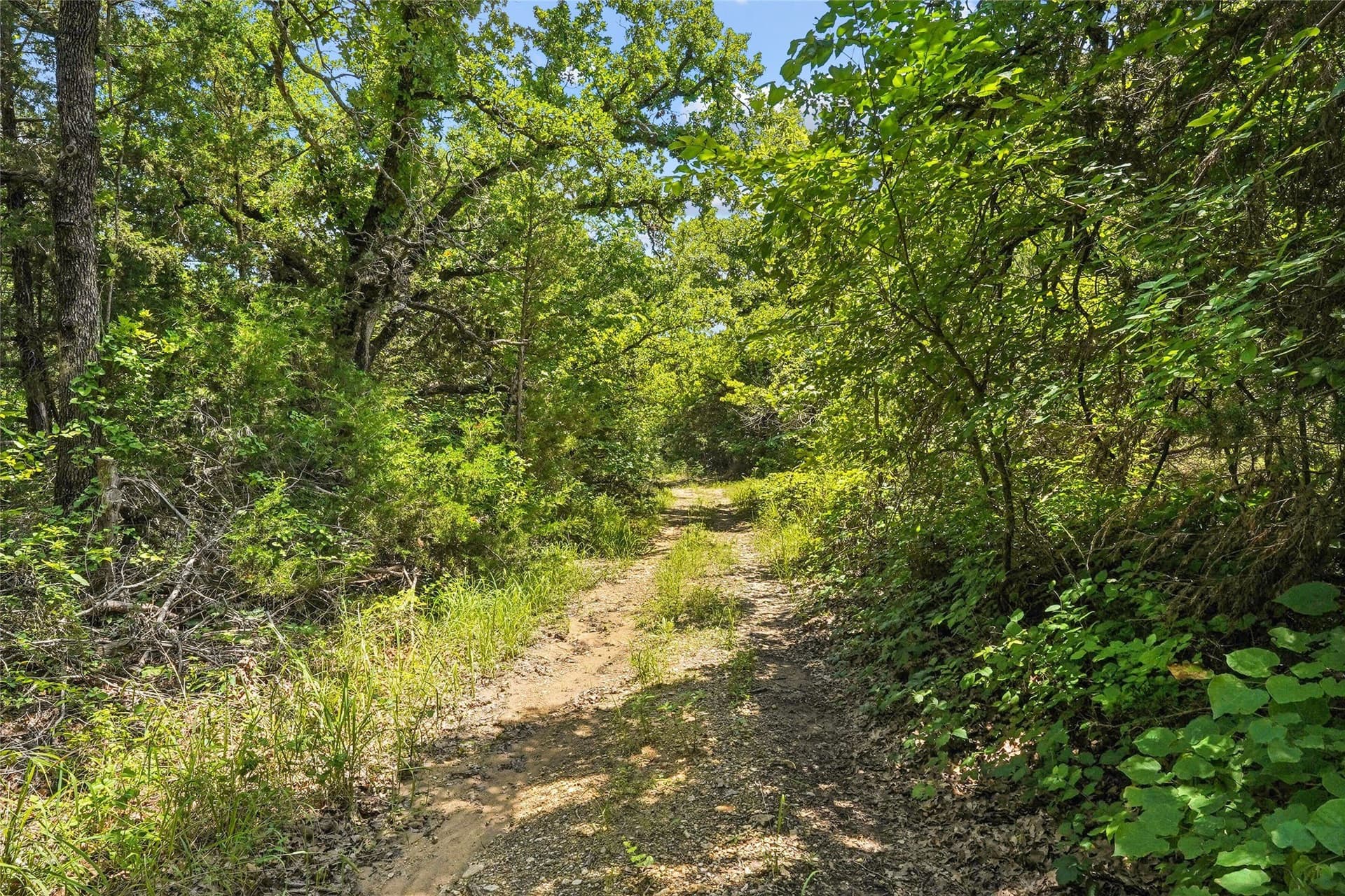 143.02 acres in Montague County - photo 23