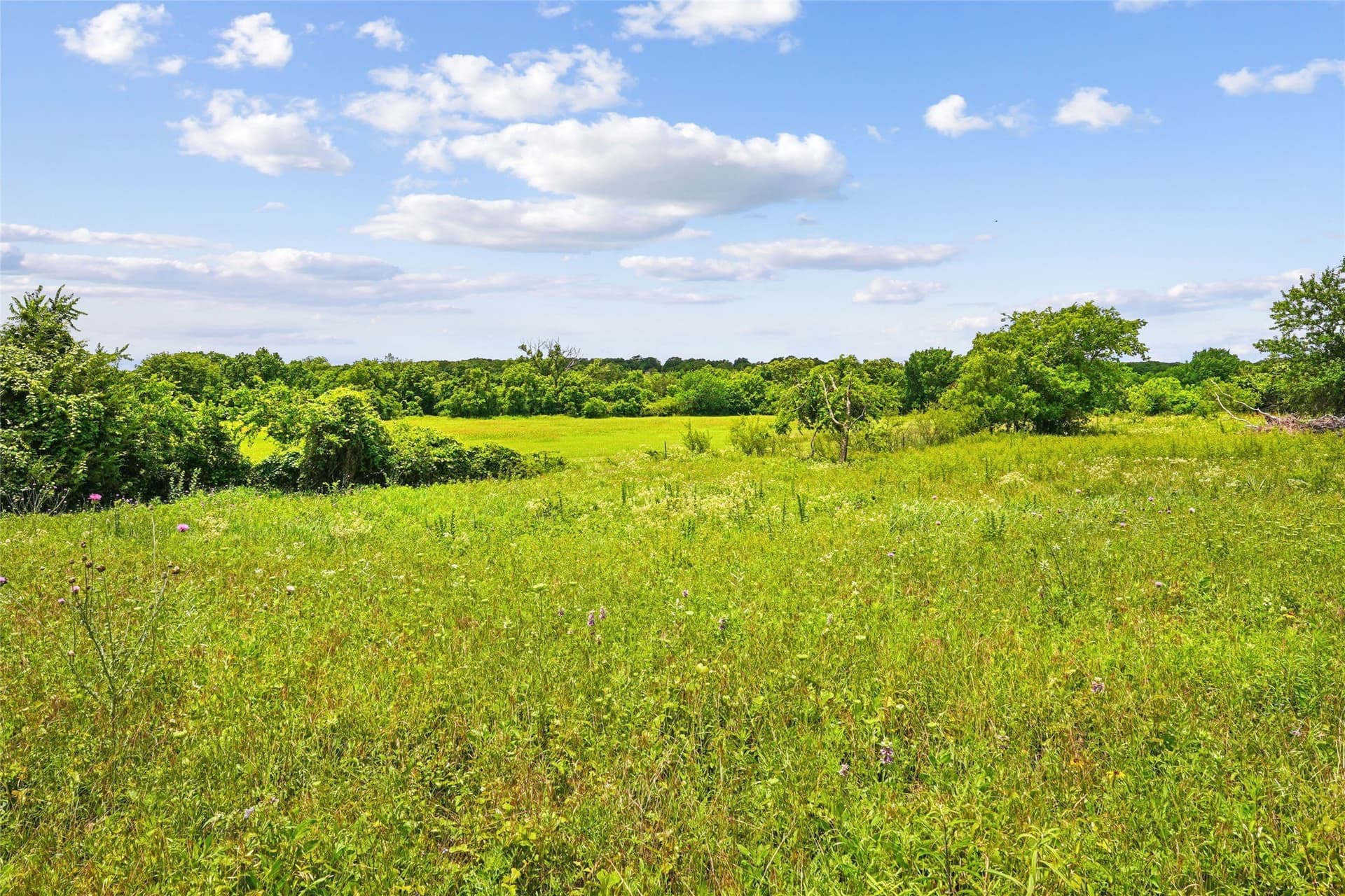 143.02 acres in Montague County - photo 12