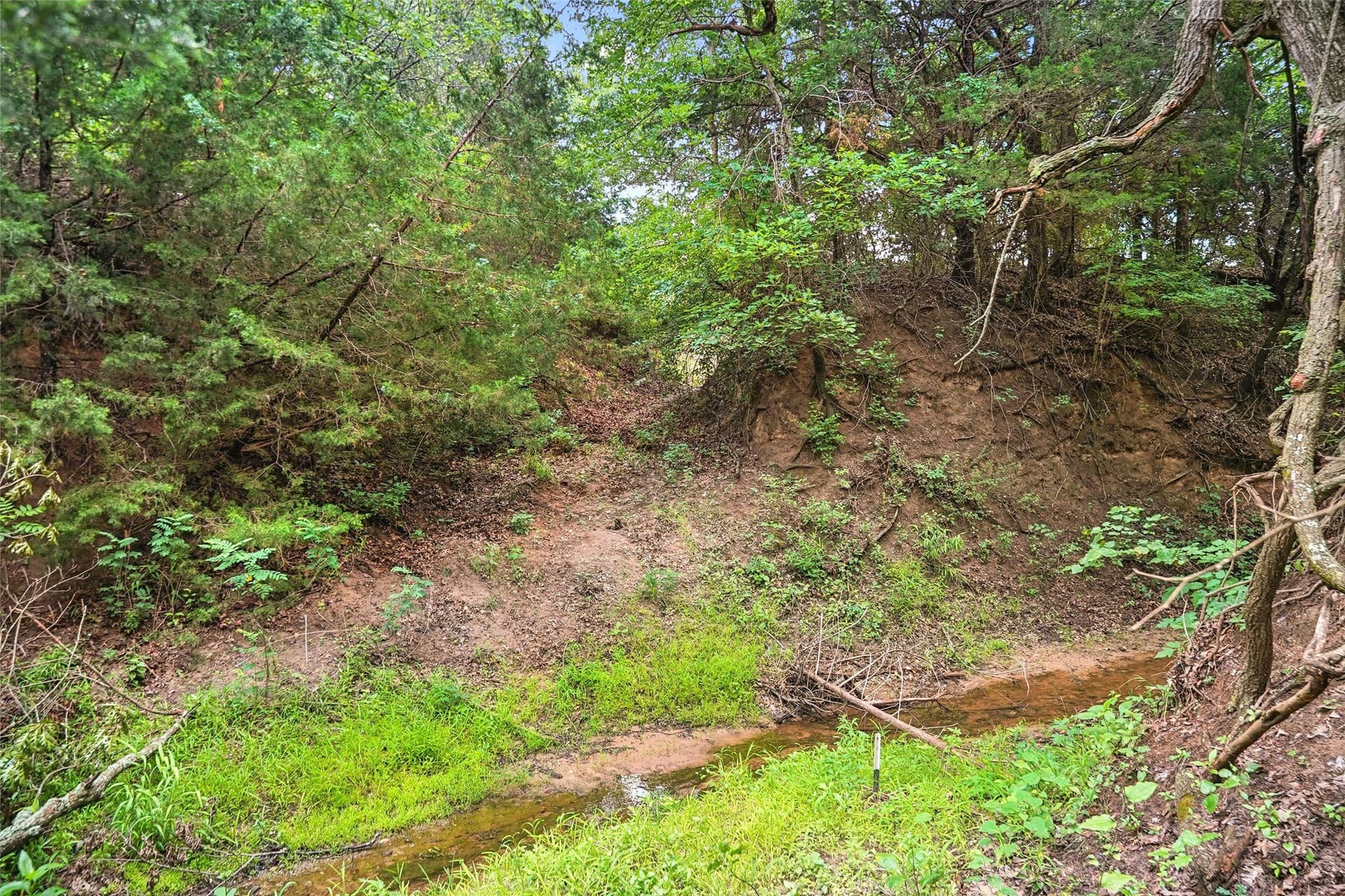 143.02 acres in Montague County - photo 22