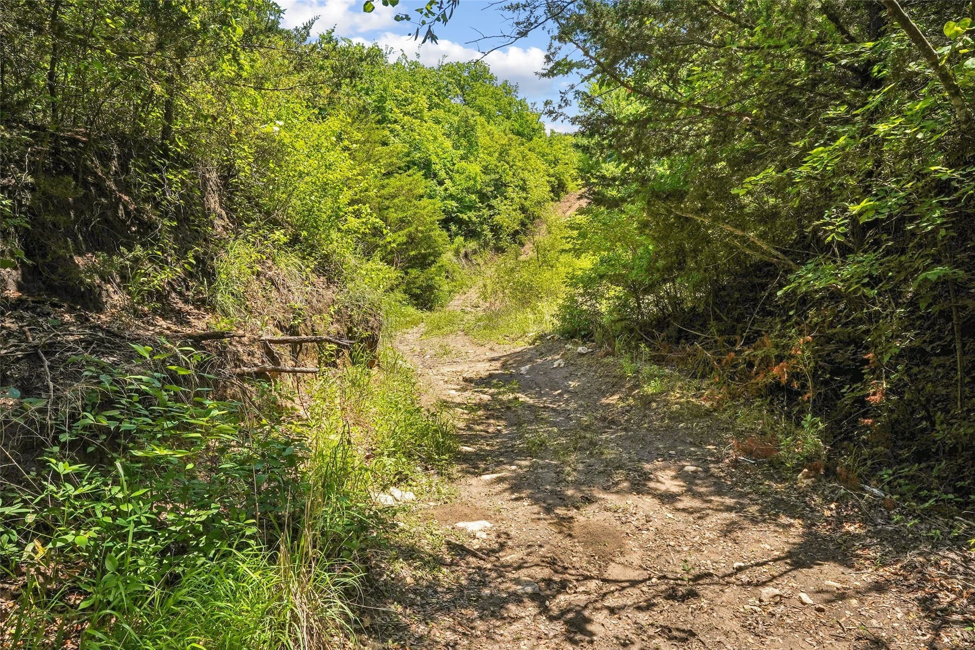 143.02 acres in Montague County - photo 24