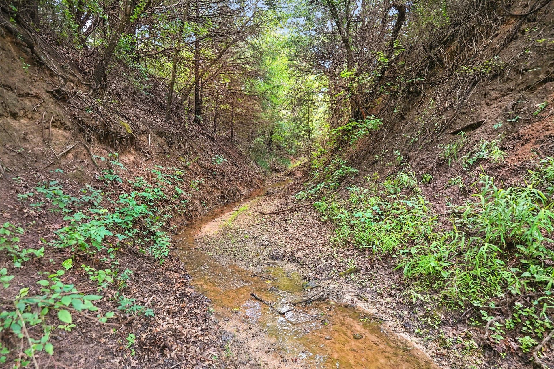 143.02 acres in Montague County gallery image 3