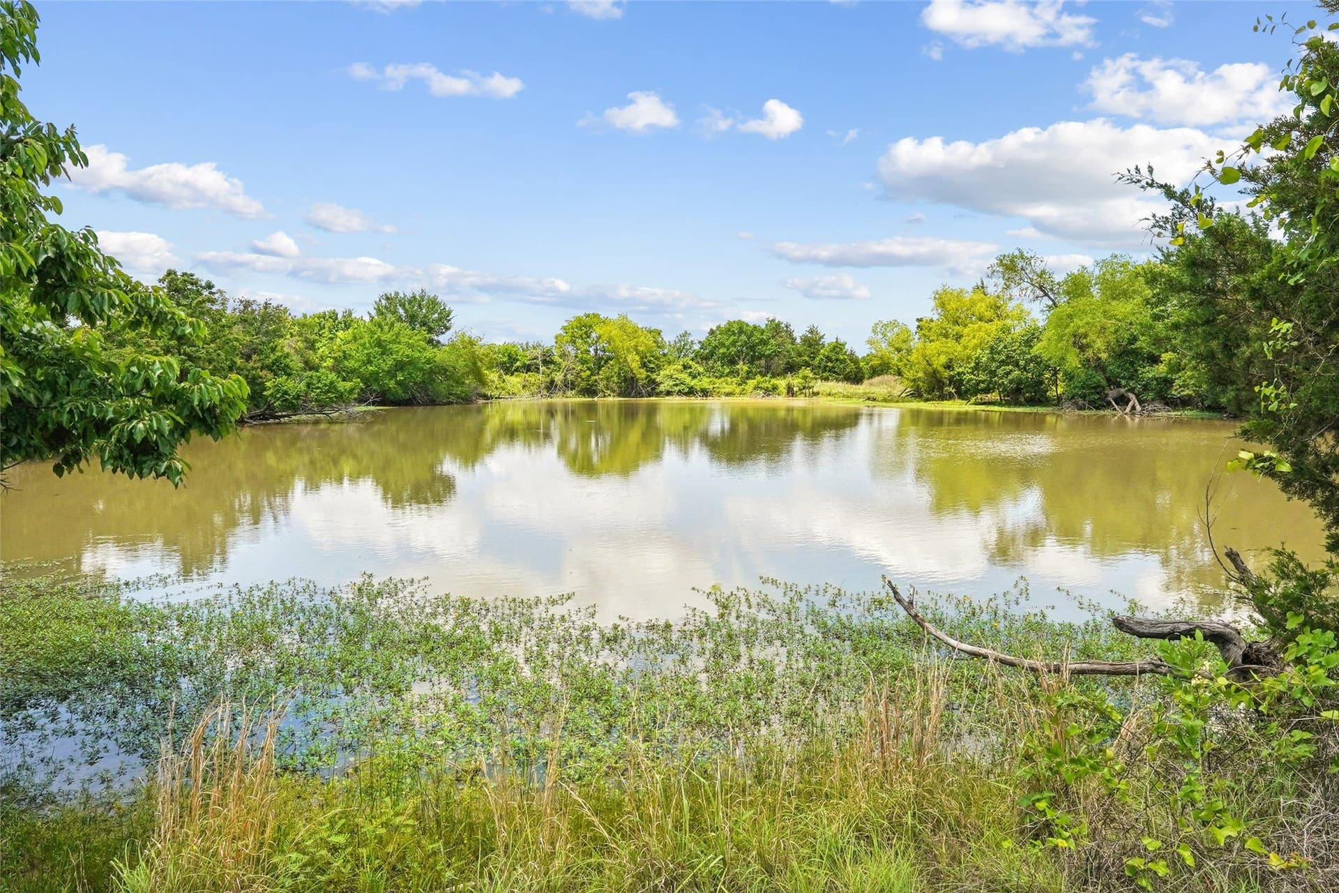 143.02 acres in Montague County - photo 25