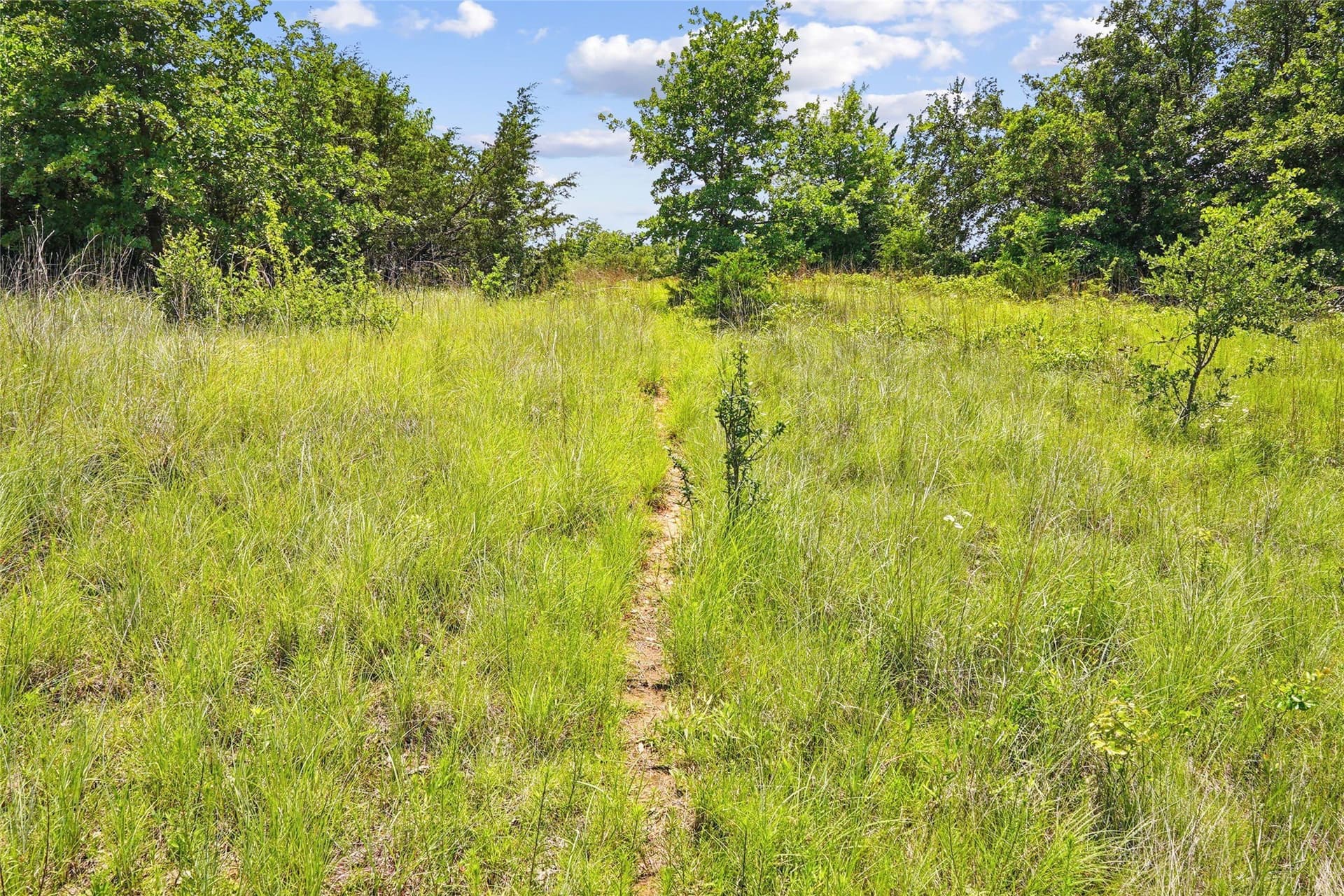 143.02 acres in Montague County - photo 31