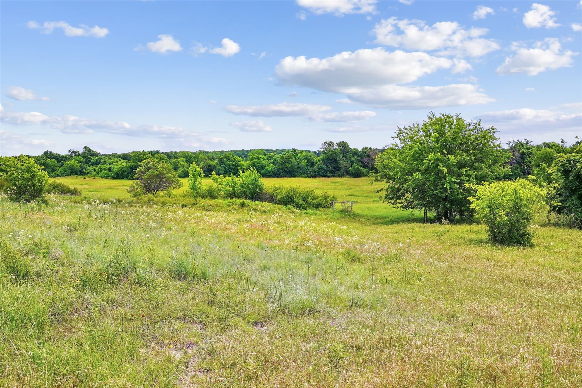 143.02 acres in Montague County - photo 13