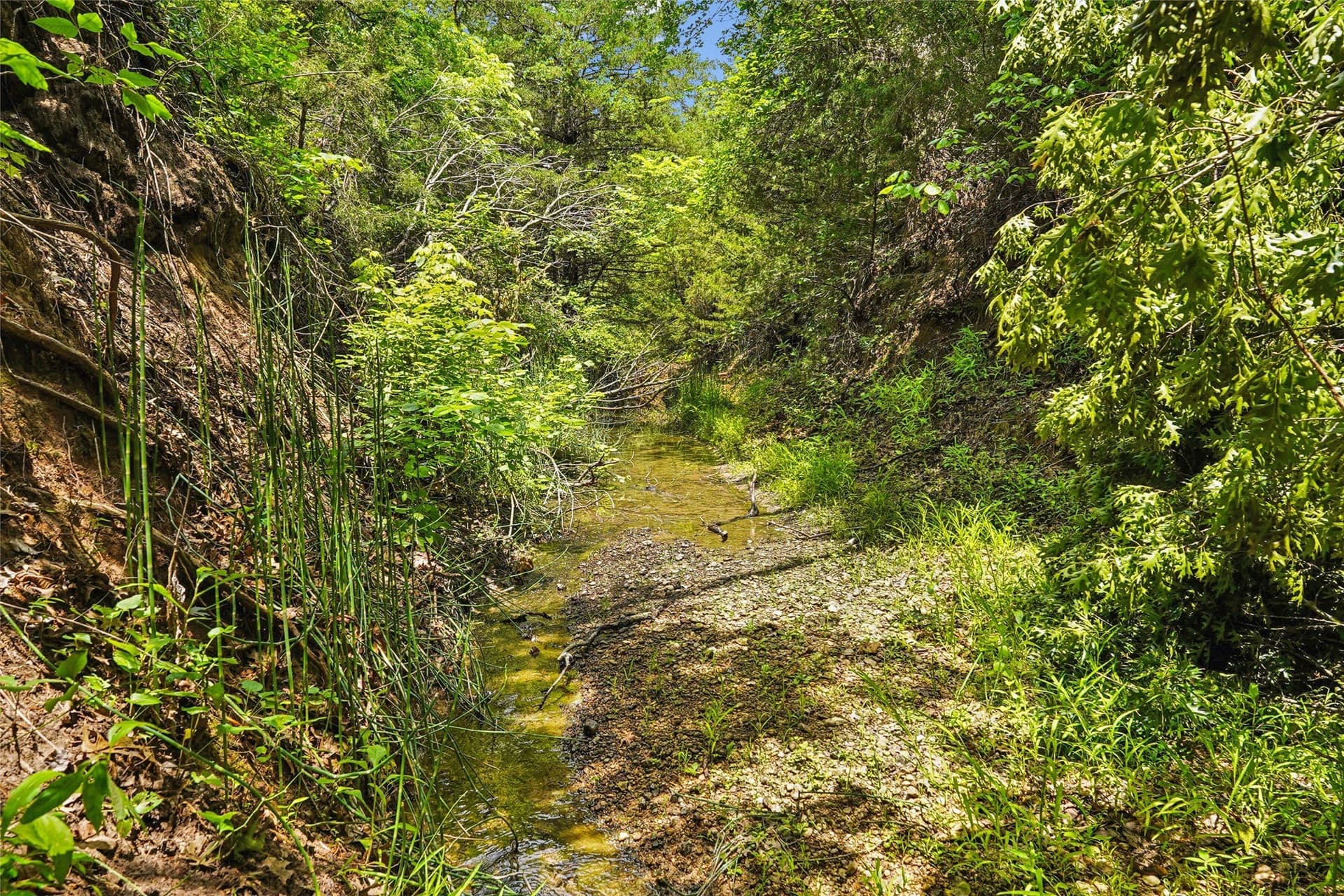 143.02 acres in Montague County - photo 18