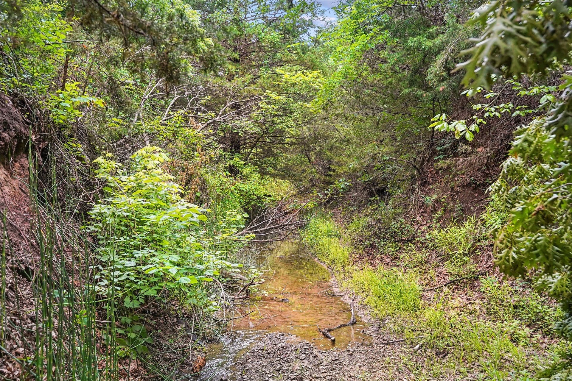 143.02 acres in Montague County - photo 21
