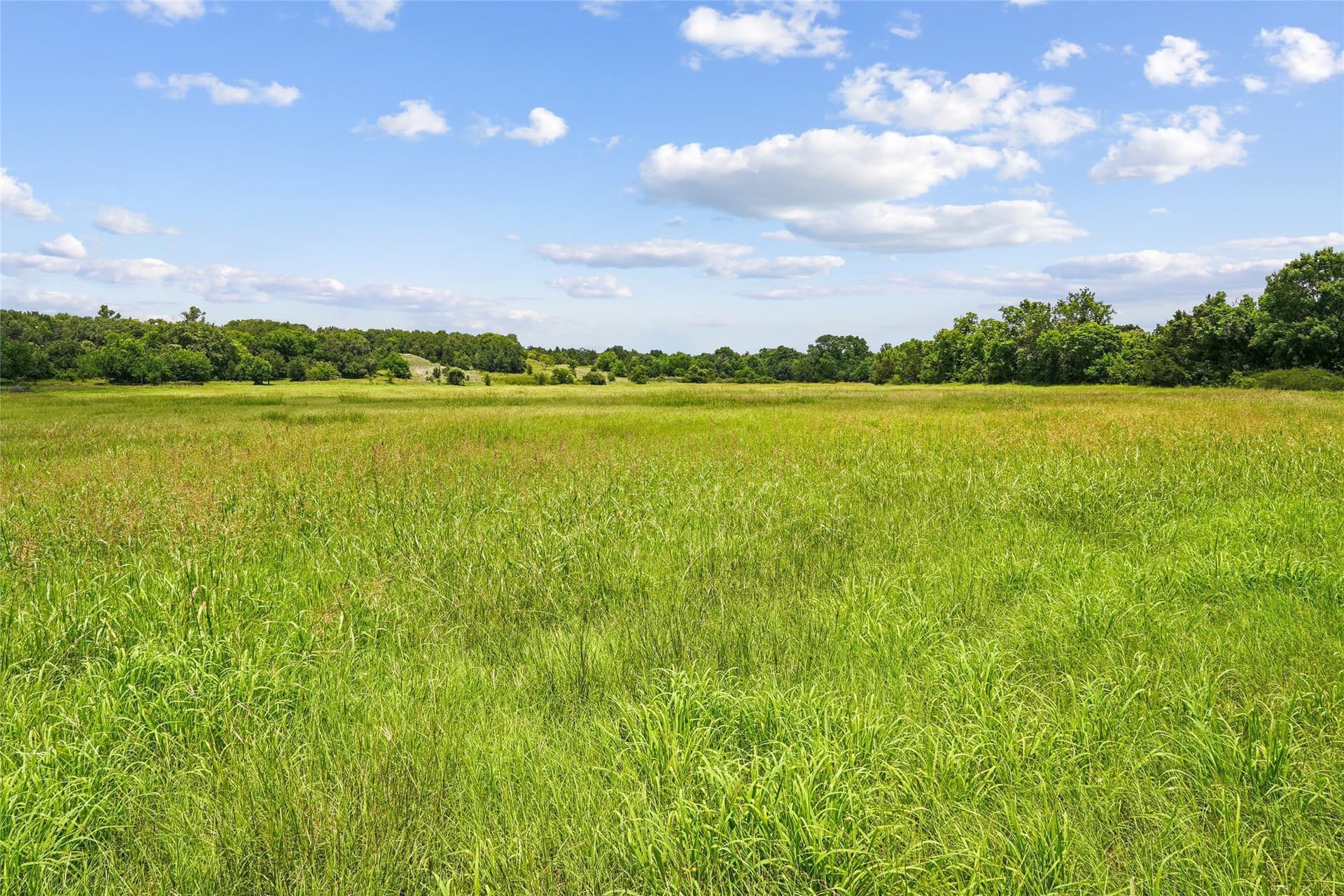 143.02 acres in Montague County - photo 15