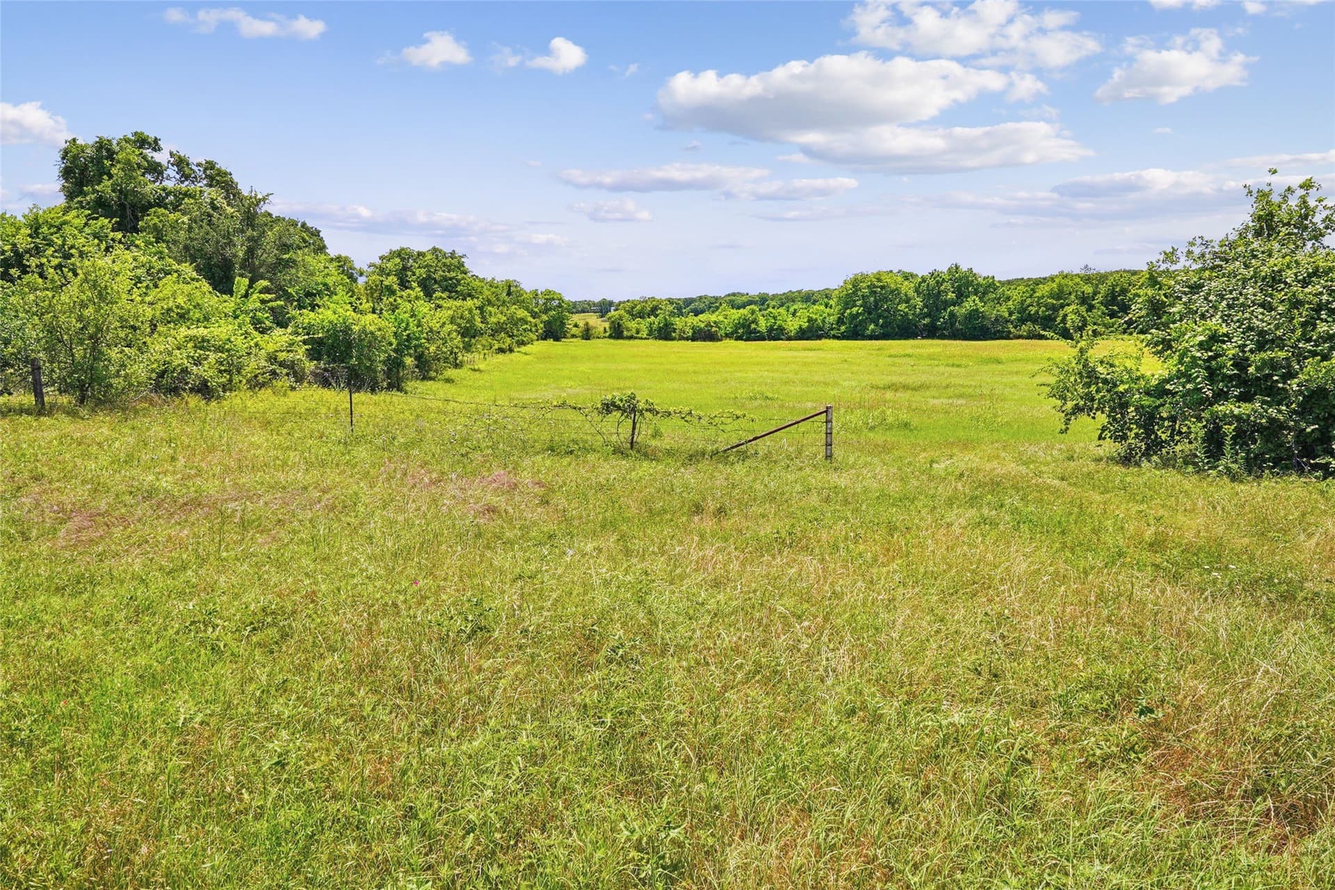 143.02 acres in Montague County - photo 17