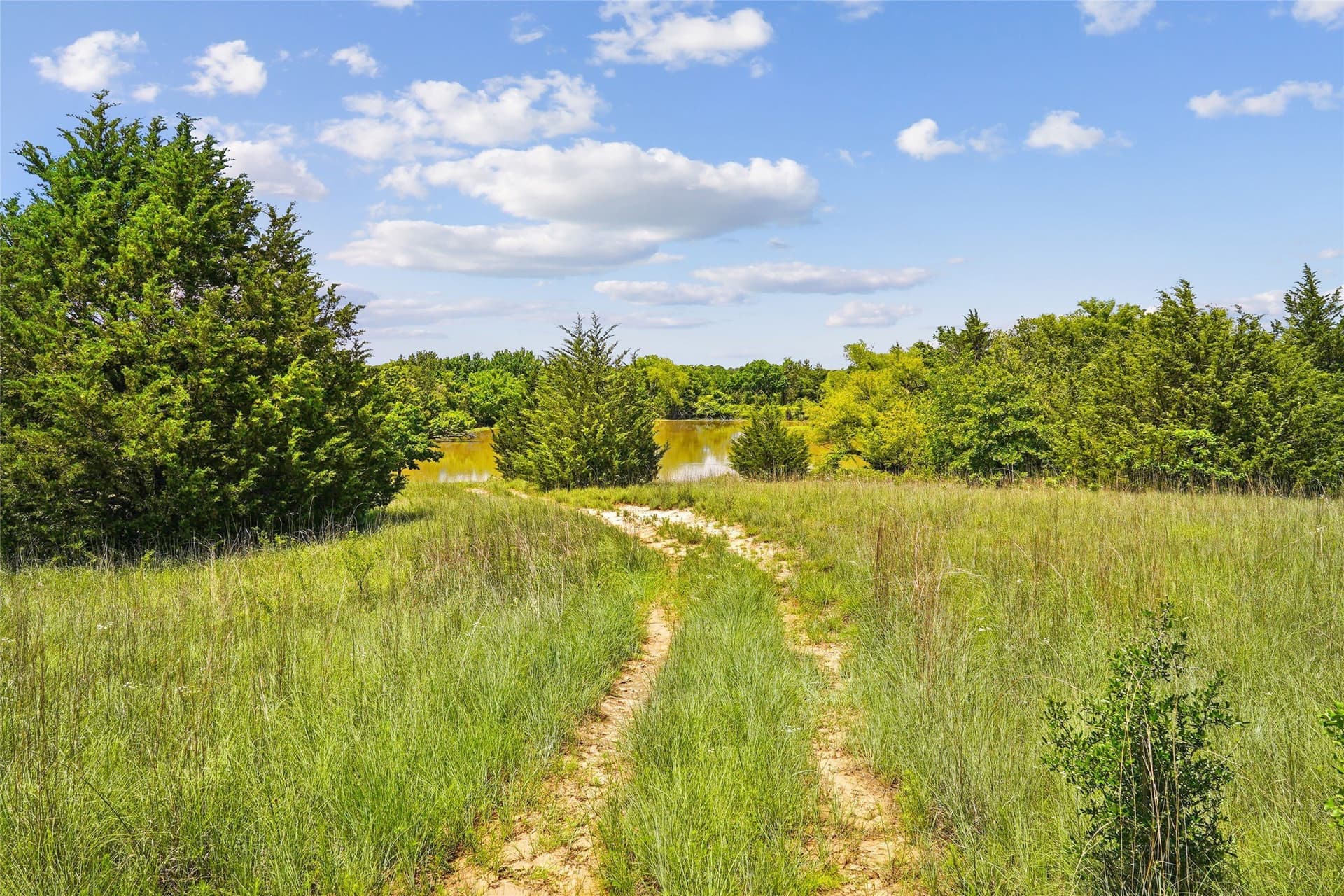143.02 acres in Montague County featured view