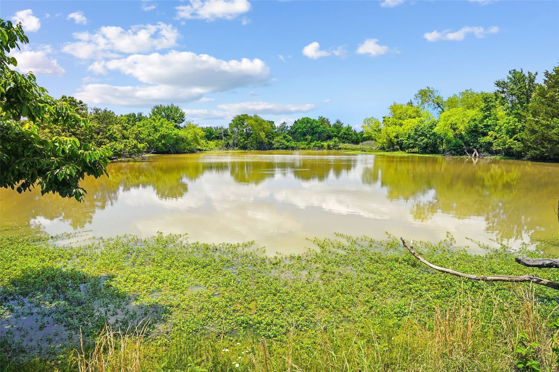 143.02 acres in Montague County - photo 26