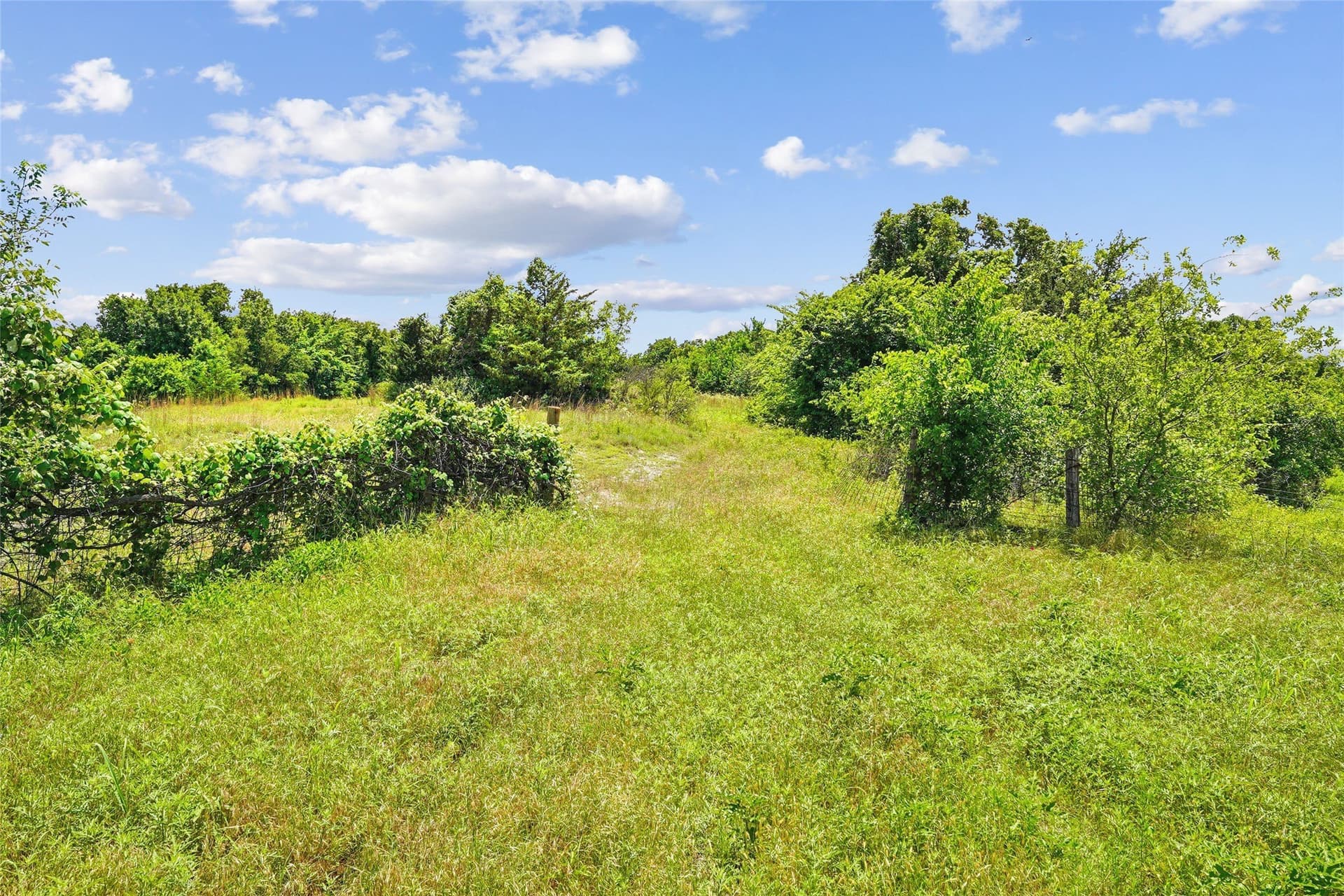 143.02 acres in Montague County - photo 16