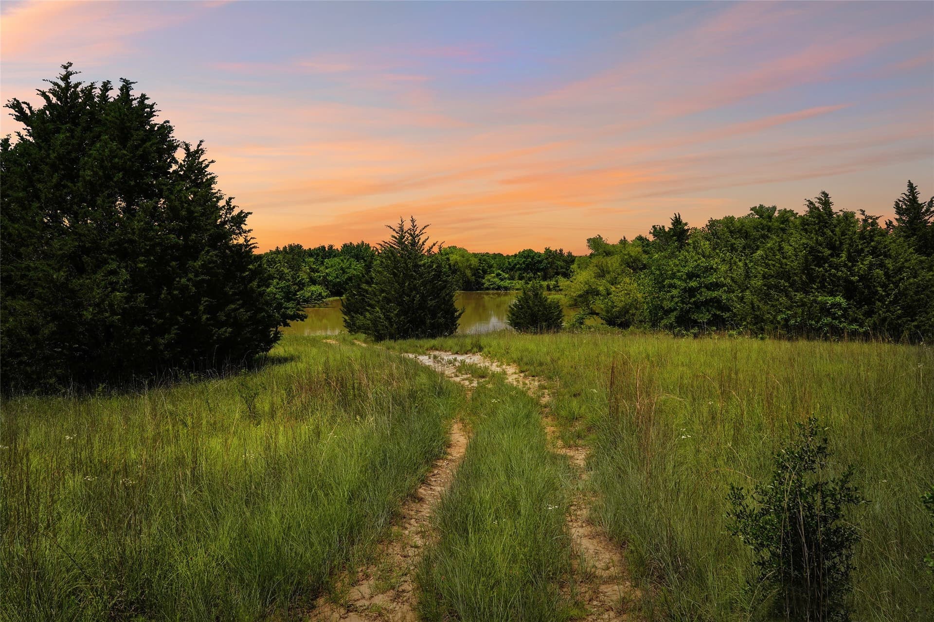 143.02 acres in Montague County - photo 39