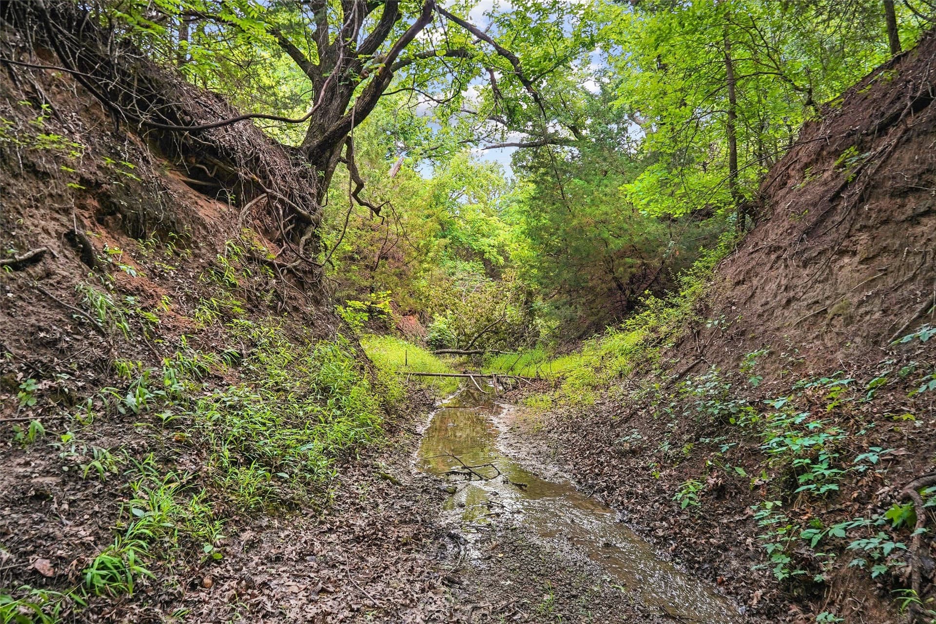 143.02 acres in Montague County - photo 20