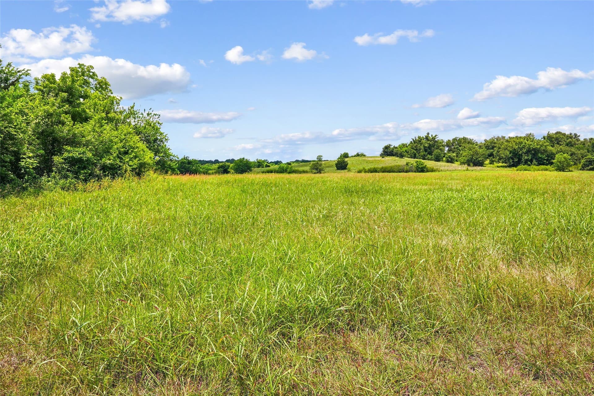 143.02 acres in Montague County - photo 14