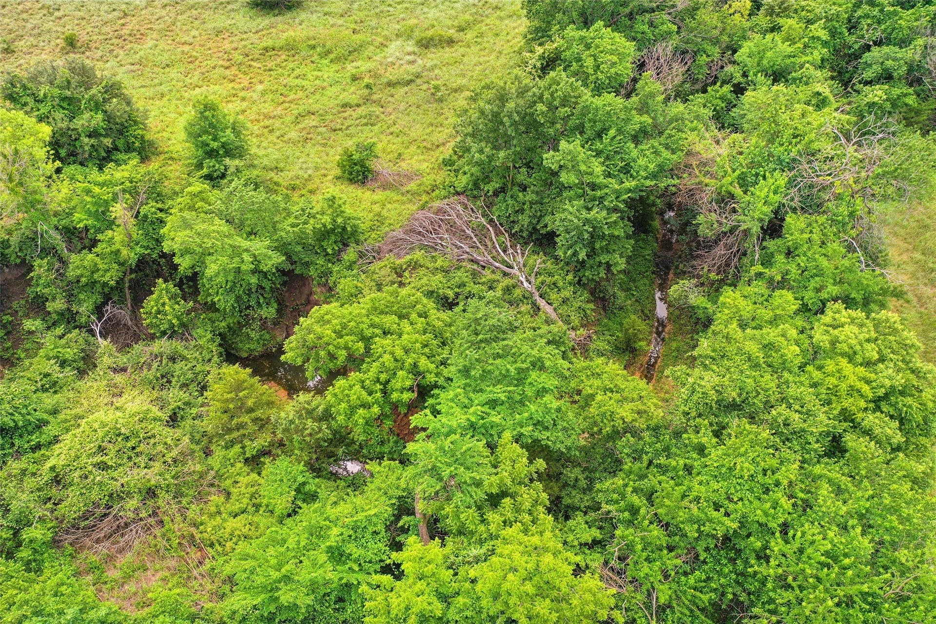 143.02 acres in Montague County - photo 32