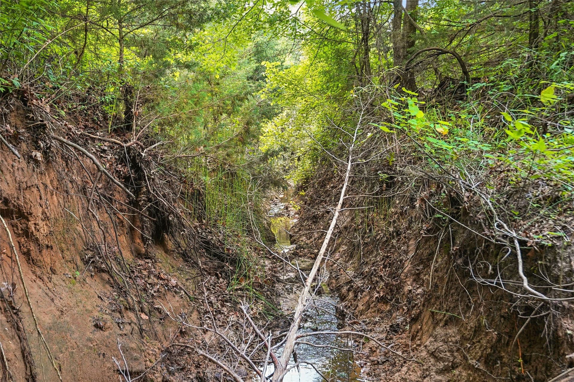 143.02 acres in Montague County - photo 19