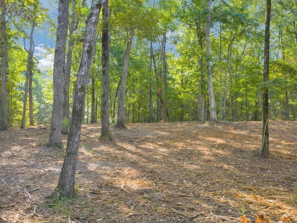 31.34 acres in Texas County - photo 10