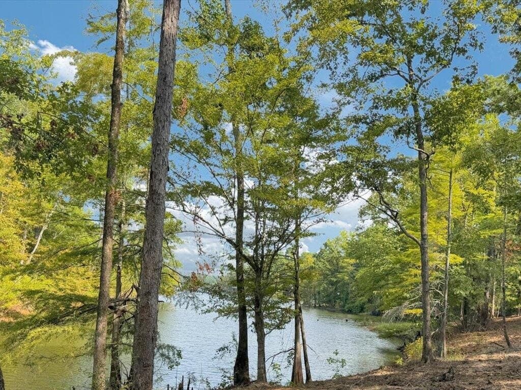 31.34 acres in Texas County - photo 12