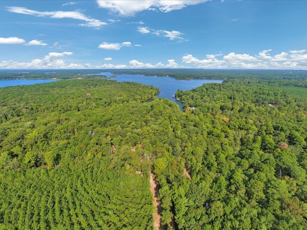 31.34 acres in Texas County - photo 5