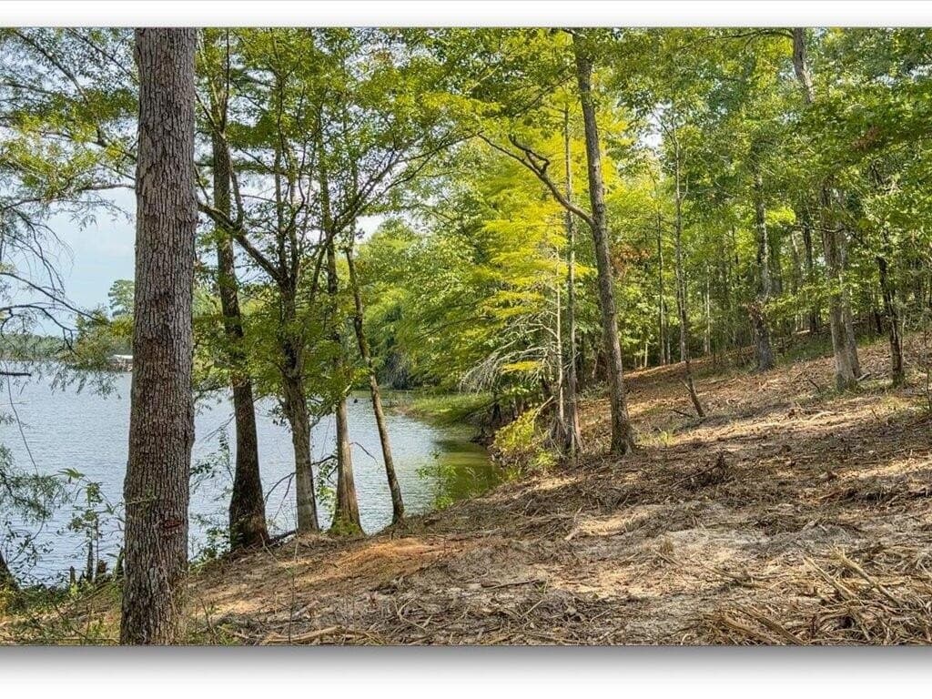 31.34 acres in Texas County - photo 13